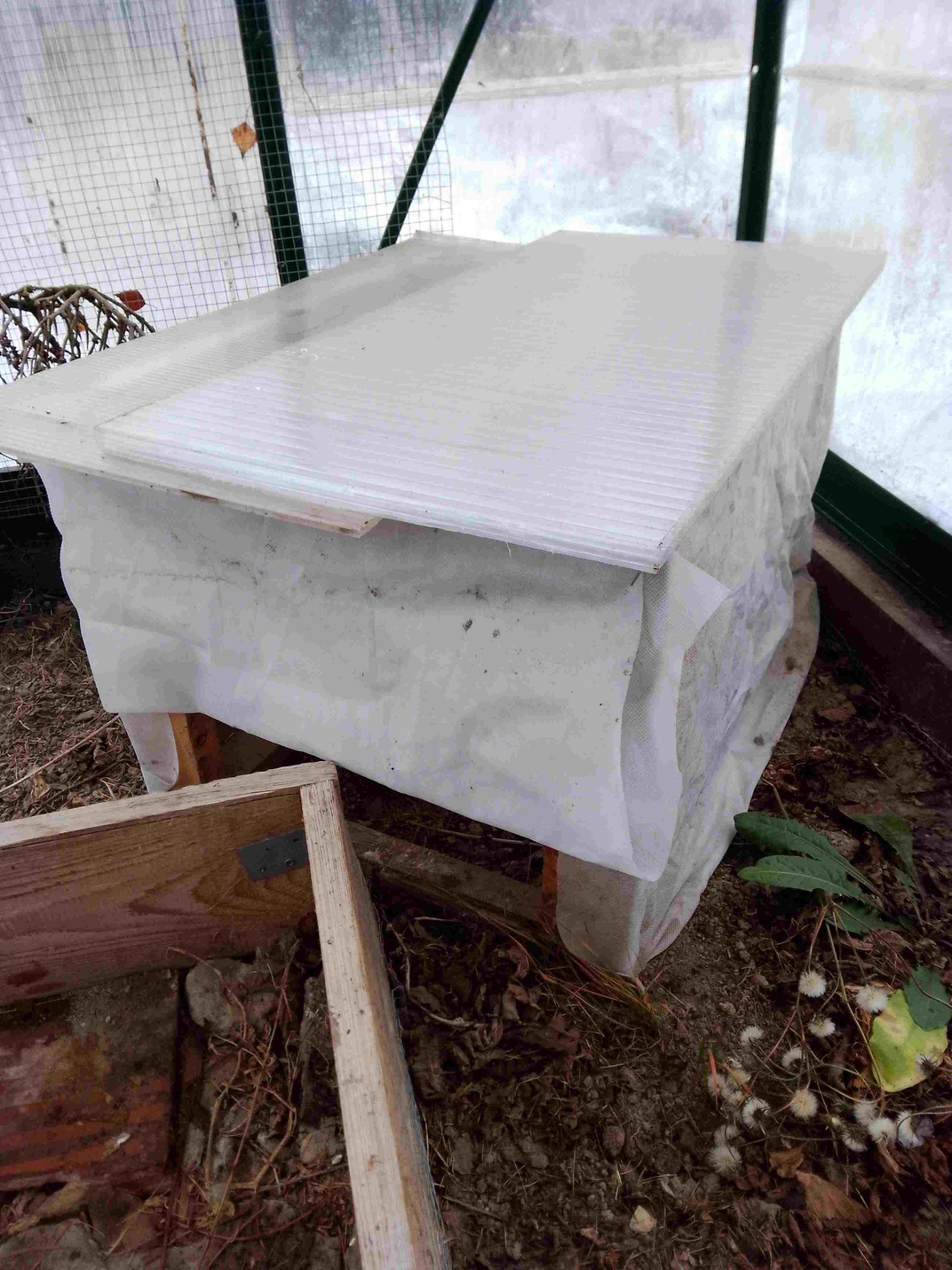 Winter Futterhäuschen unserer Wachteln